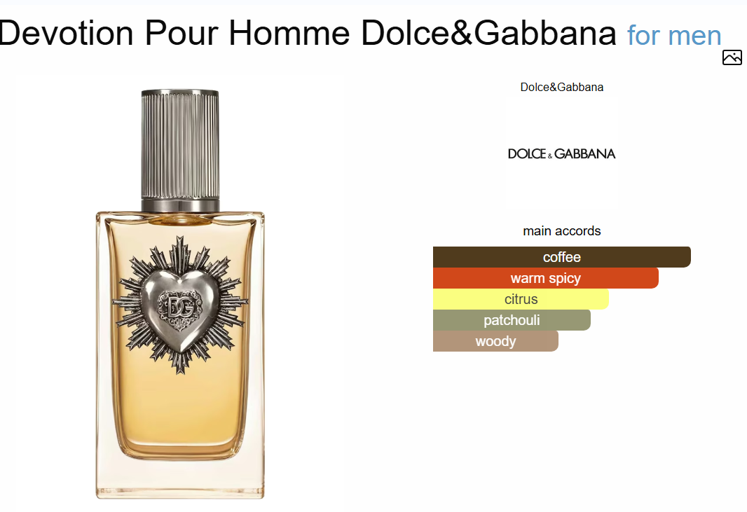 D and G Devotion Pour Homme EDP 100ml