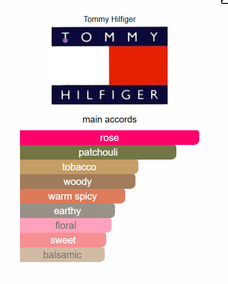 Tommy Hilfiger GET LOUD EDT 100ml