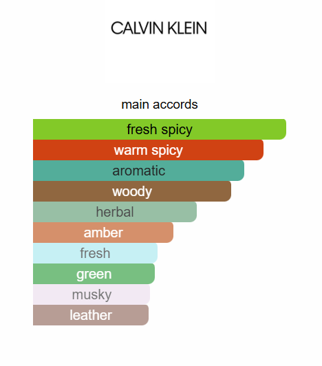 Calvin Klein Euphoria Men EDT 100ml