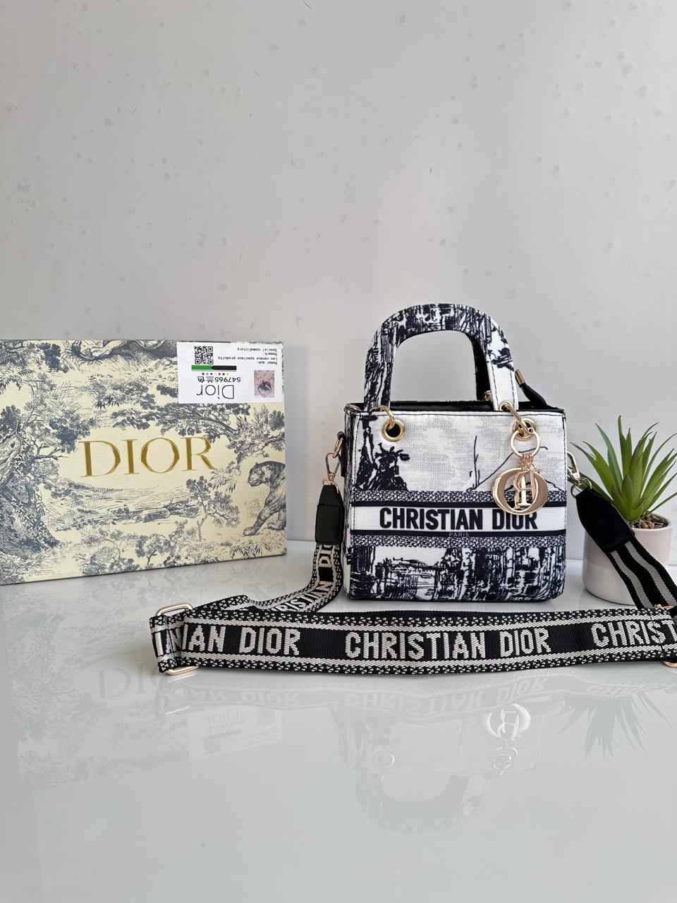 Christian Dior Mini
